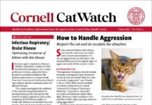 Download The Full February 2025 Issue PDF