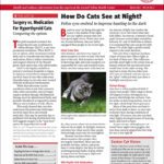 Download The Full March 2025 Issue PDF