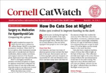 Download The Full March 2025 Issue PDF