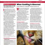 Download The Full April 2025 Issue PDF