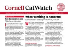 Download The Full April 2025 Issue PDF