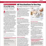 Download the Full May 2025 Issue PDF