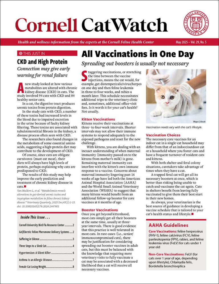 Download the Full May 2025 Issue PDF