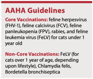 All Vaccinations in One Day - Catwatch Newsletter