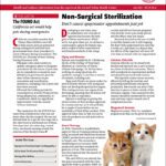 Download the Full June 2025 Issue PDF