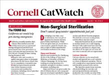 Download the Full June 2025 Issue PDF