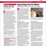 Download The Full July 2025 Issue PDF