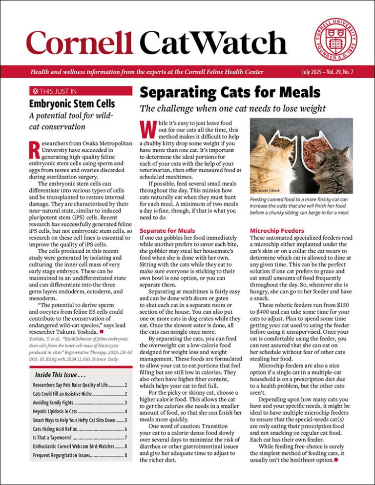Download The Full July 2025 Issue PDF