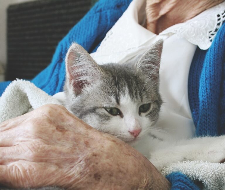 Cats Could Fill an Assistive Niche
