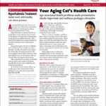 Download the Full August 2025 Issue PDF