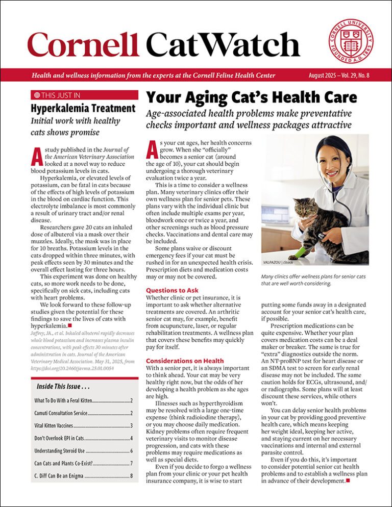 Download the Full August 2025 Issue PDF