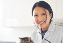 Your Aging Cat’s Health Care