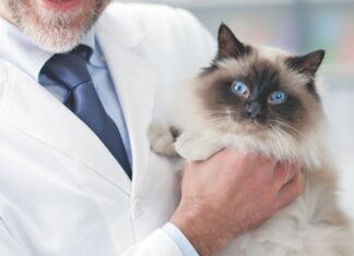 FDA OKs Emergency Screwworm Treatment