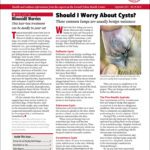 Download The Full September 2025 Issue PDF