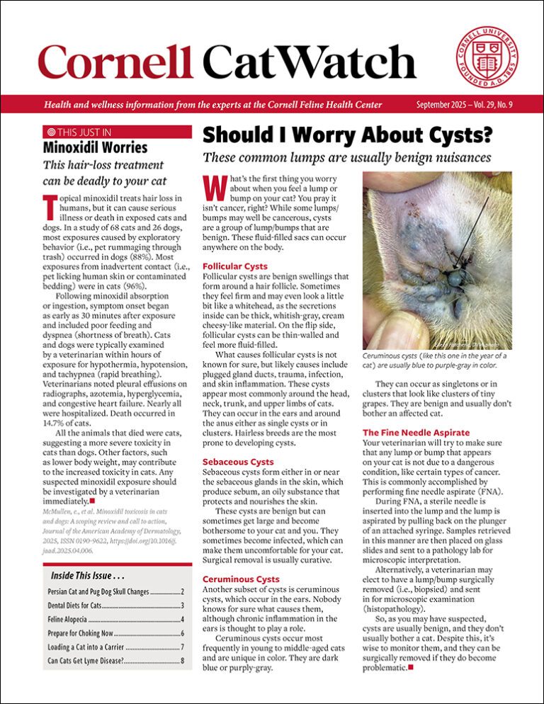 Download The Full September 2025 Issue PDF