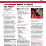 Download The Full October 2025 Issue PDF