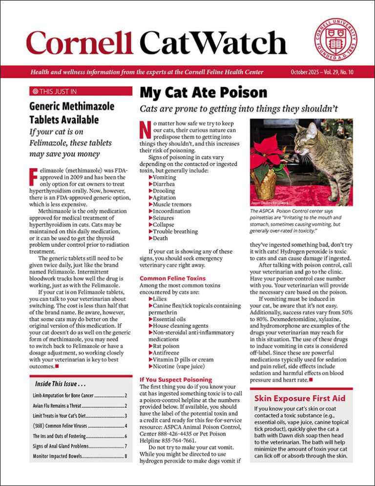Download The Full October 2025 Issue PDF