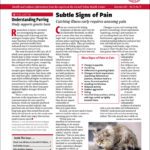 Download The Full November 2025 Issue PDF