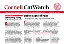 Download The Full November 2025 Issue PDF