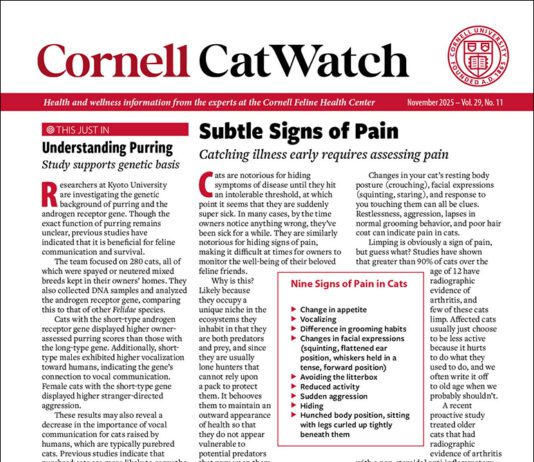 Download The Full November 2025 Issue PDF