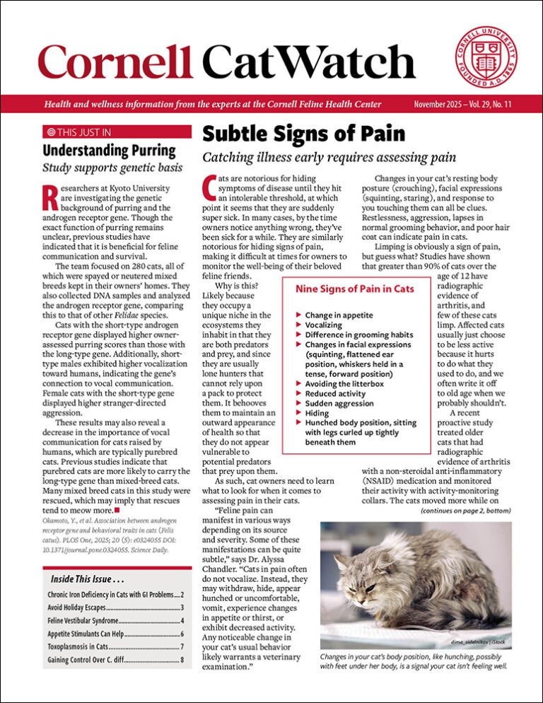 Download The Full November 2025 Issue PDF