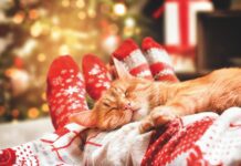 Avoid Holiday Escapes