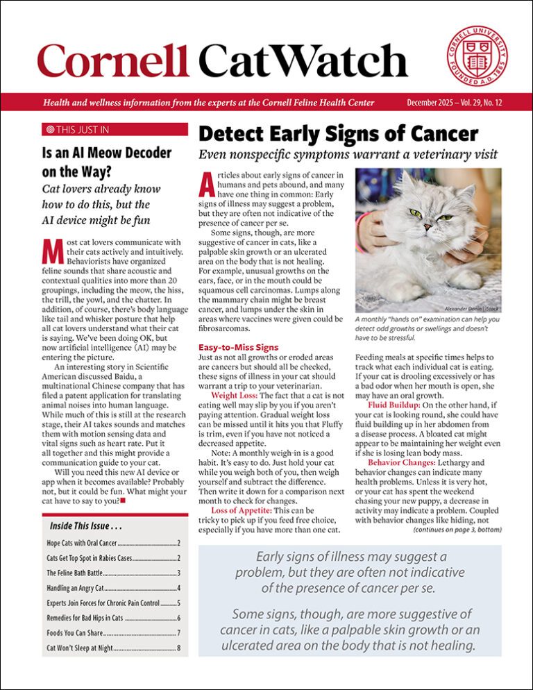 Download The Full December 2025 Issue PDF