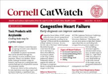 Download The Full January 2026 Issue PDF