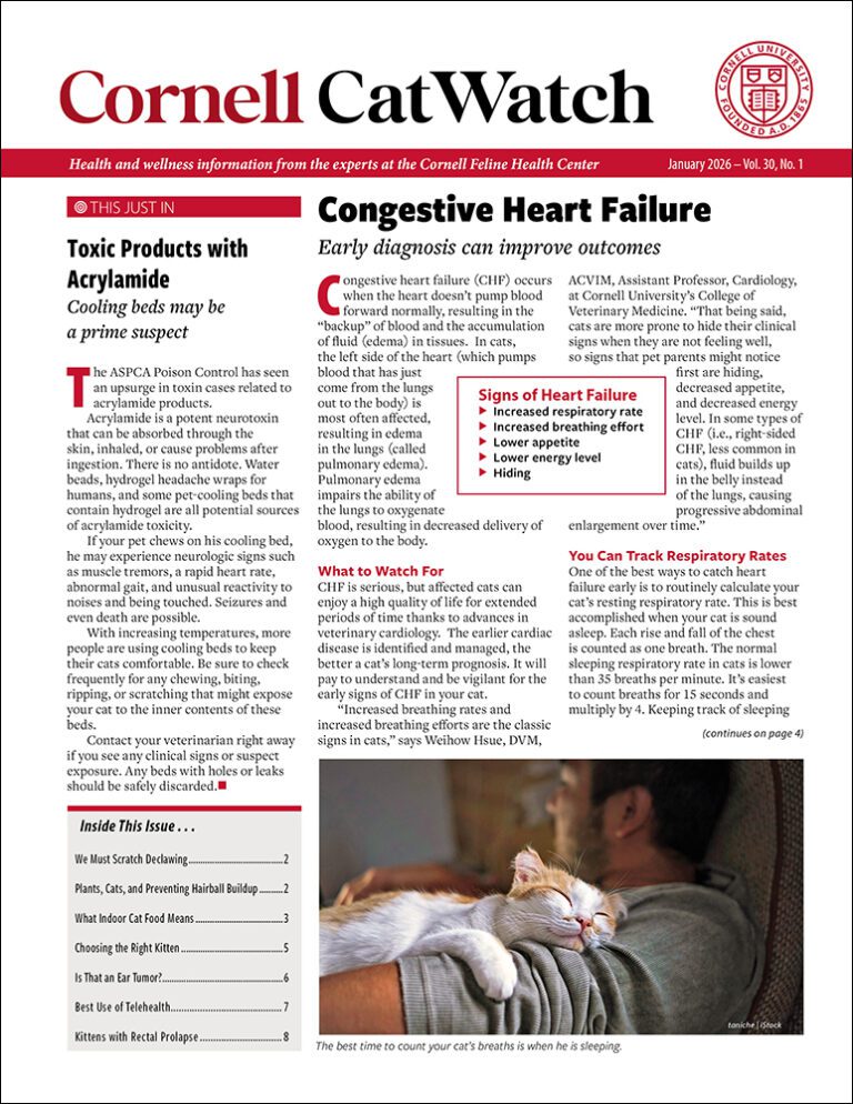 Download The Full January 2026 Issue PDF