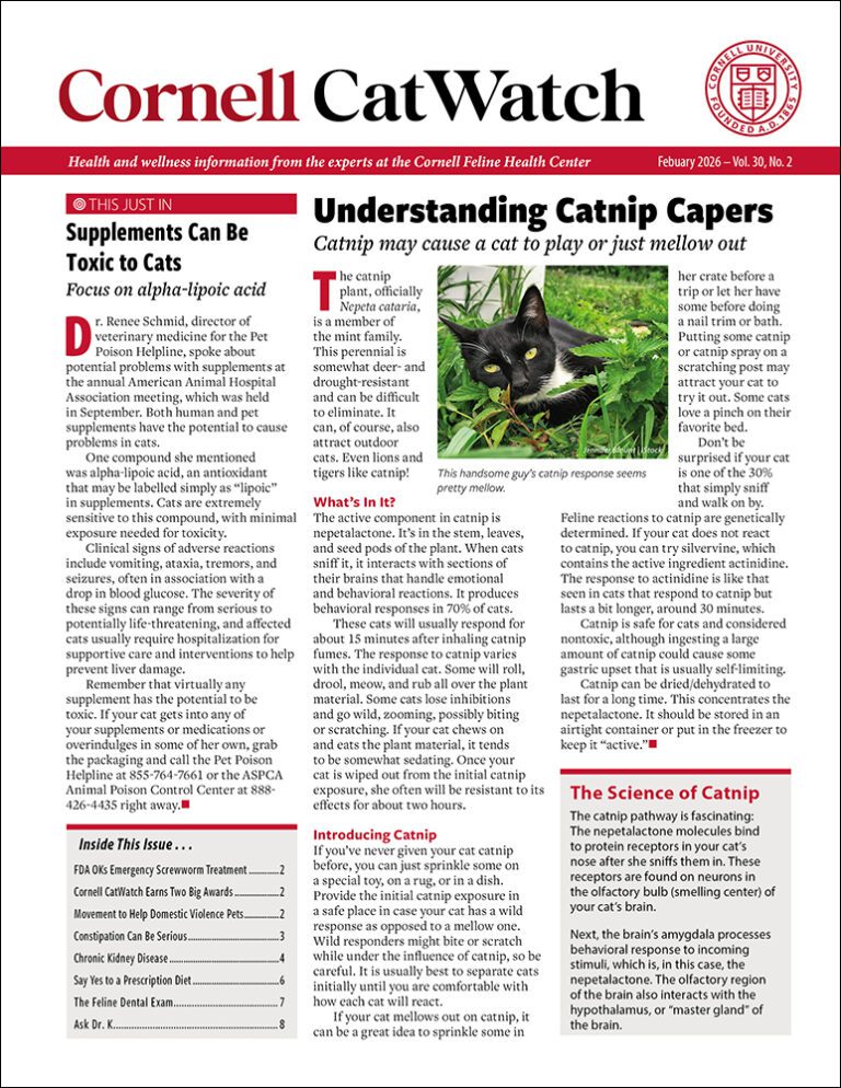 Download the Full February 2026 Issue PDF