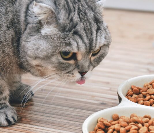 Say Yes to a Prescription Diet