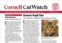 Download the Full March 2026 Issue PDF