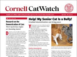 Download the Full April 2026 Issue PDF