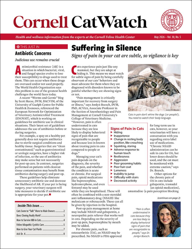 Download May 2026 Issue PDF