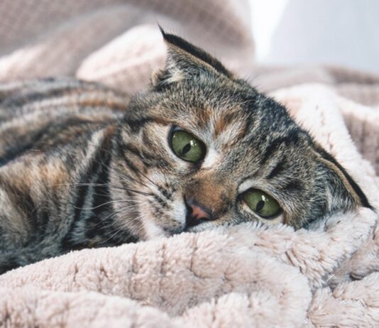 Suffering in Silence