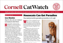 Download The Full June 2026 Issue PDF