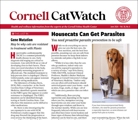 Download The Full June 2026 Issue PDF
