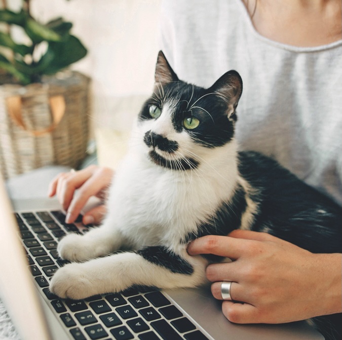 Young woman using laptop and cute cat sitting on keyboard. Faithful friend. Casual girl working on laptop with her cat, sitting together in modern room with pillows and plants. Home office.