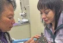 Glaucoma Is a Painful Disease