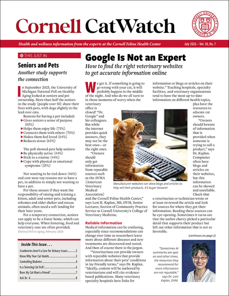 Download the Full July 2026 Issue PDF