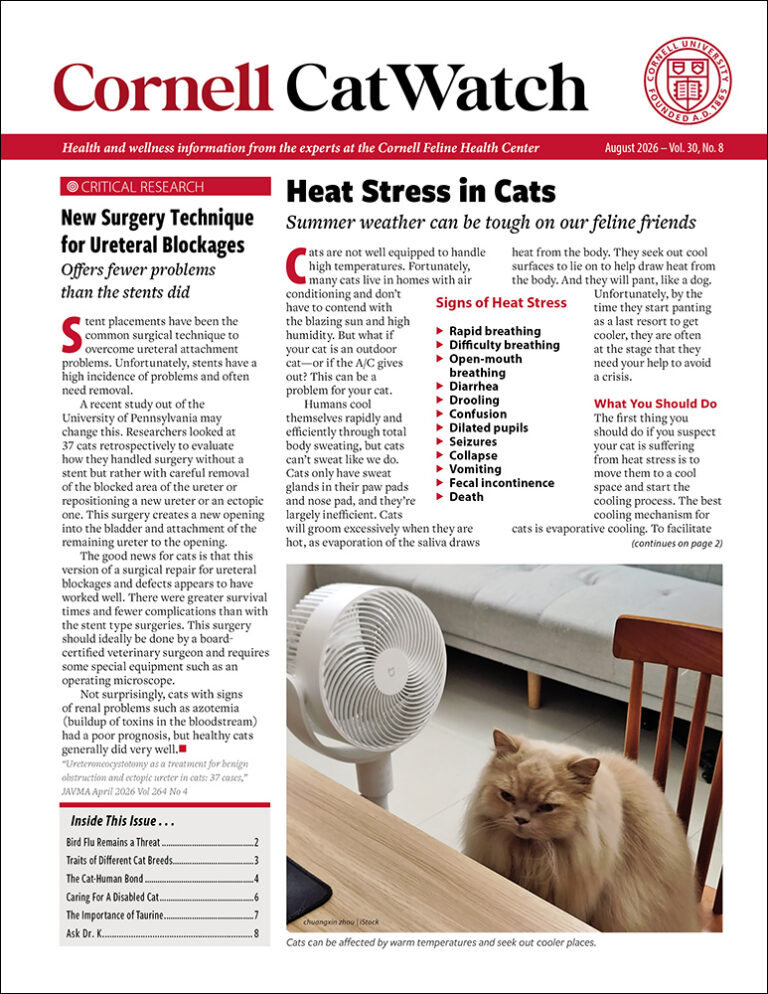 Download The Full August 2026 Issue PDF