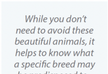 Traits of Different Cat Breeds