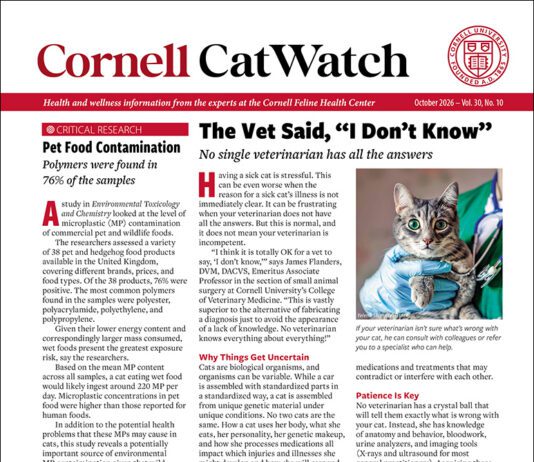 Download the Full October 2026 Issue PDF